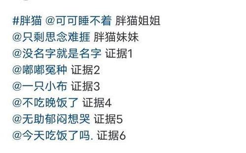 胖猫后续爆料视频,揭秘更多惊人内幕